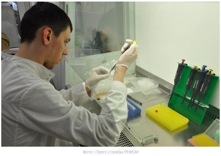 В Ростовском онкоинституте открыли новые мутации, провоцирующие нейроэндокринные опухоли поджелудочной железы