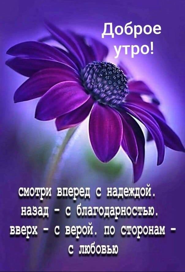 Доброе утро!